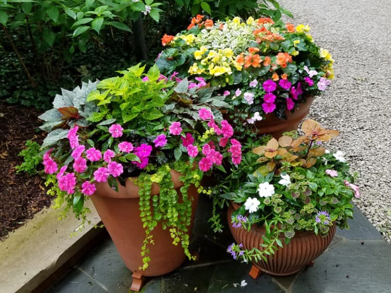 Seasonal Landscaping